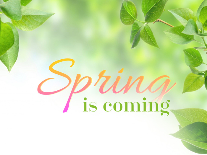 Fresh Cutz Lawn Care LLC photo 3